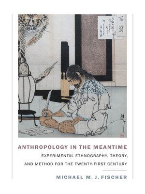 cover image of Anthropology in the Meantime